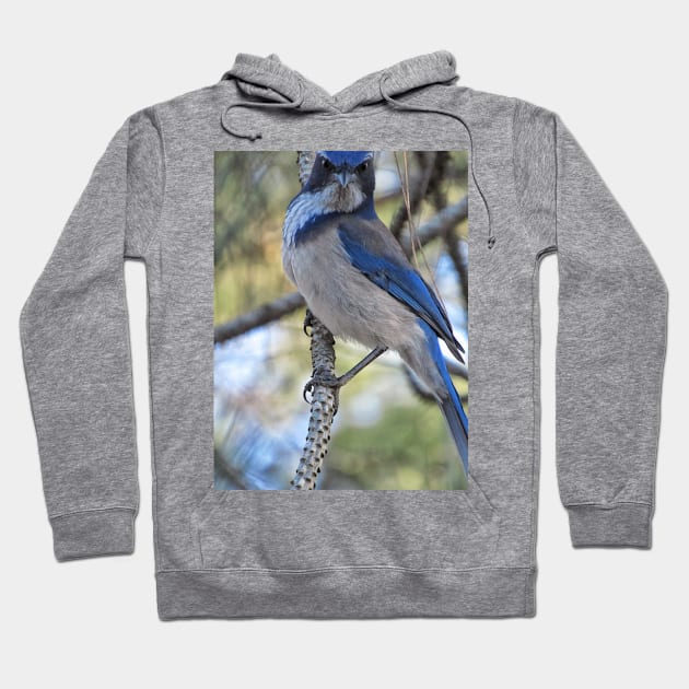 I am birdman Hoodie by Simple pleasures 